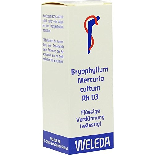 BRYOPHYLLUM MERCURIO cultum Rh D 3 Dilution 20 ml Dilution